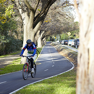 Cyclist riding along shared path with trees