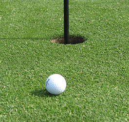 Golf ball and putting hole