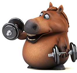 An illustration of a horse holding weights
